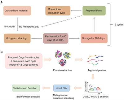 Metaproteomics profiling of the microbial communities in fermentation starters (Daqu) during multi-round production of Chinese liquor